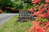 県立榛名公園碑付近のレンゲツツジ