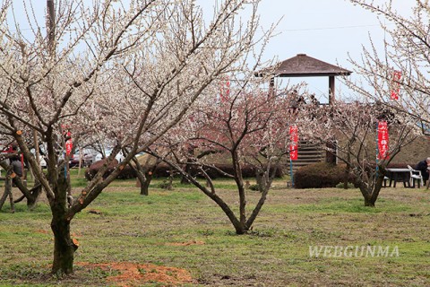 箕郷梅林 みさと梅公園（蟹沢会場）の梅林と見晴台