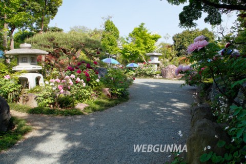 龍真寺のボタン庭園