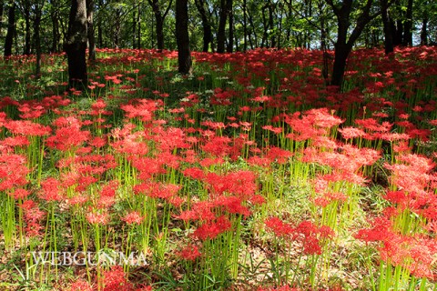 御嶽山自然の森公園