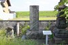 平塚西光寺の馬頭観音塔