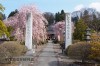 武尊山 雲谷寺