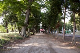 土師神社の参道