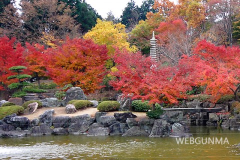 桜山公園の紅葉