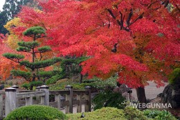 桜山公園の日本庭園周辺