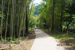 高山社跡専用駐車場からの遊歩道