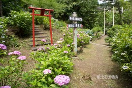 八塩あじさいの里八福神巡り