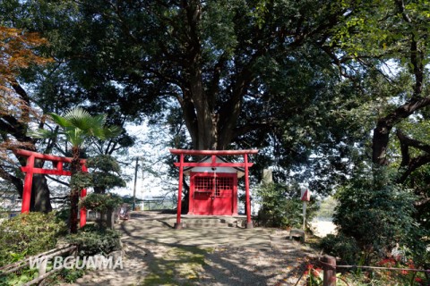 堂山稲荷古墳墳頂の社