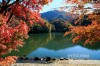 碓氷湖の紅葉