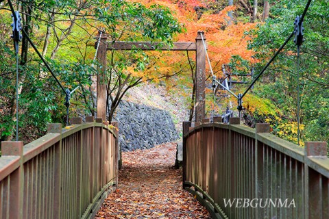 蝉の渓谷のつり橋