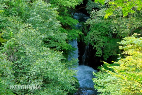 小泉の滝（中之条町）