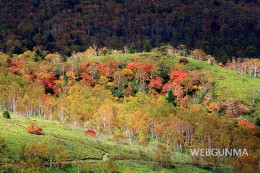 野反湖の秋の紅葉