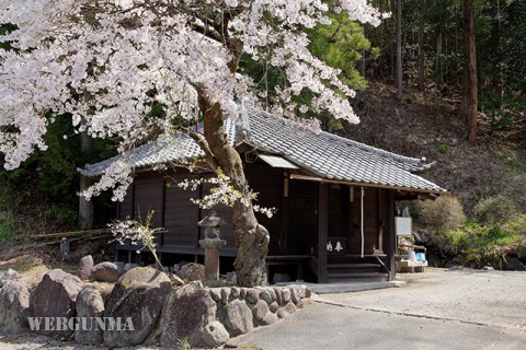 池の薬師堂