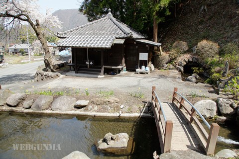 池の薬師全景