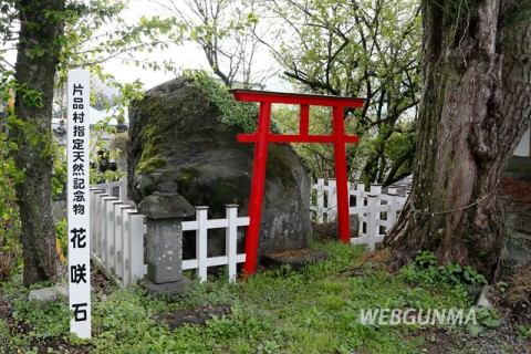 地名由来の花咲石（片品村）