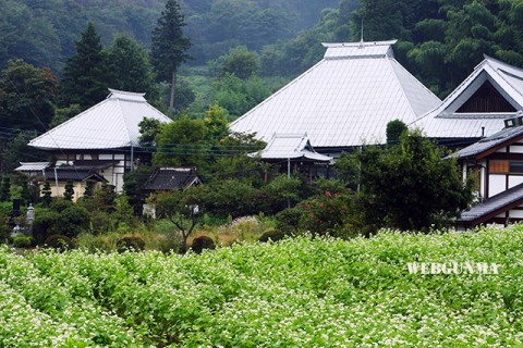 月夜野 如意寺