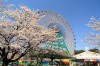 伊勢崎市 華蔵寺公園