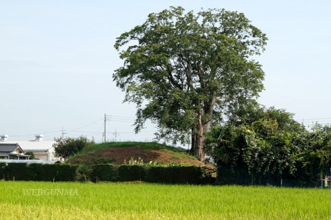 道明山古墳