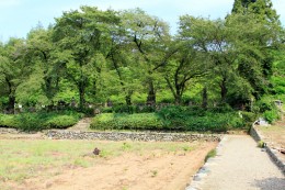 織田家七代の墓へと通ずる道