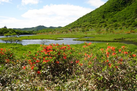 赤城山 覚満淵