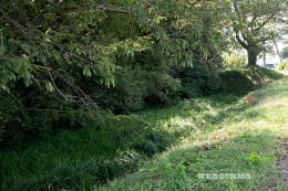 中村城跡の本丸北側の土居と濠