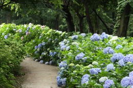 道の駅「赤城の恵」 荻窪公園内の散策路