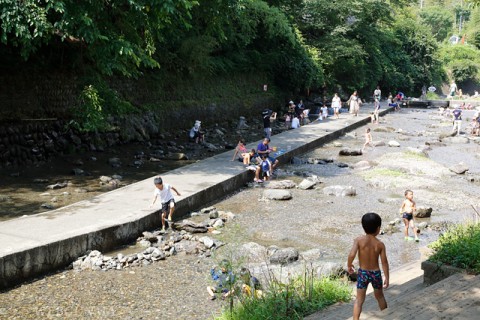 親水公園西側の小平川の清流