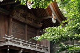 群馬県指定重要文化財の八幡宮本殿