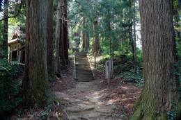 菅原神社の参道