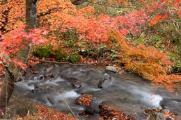 船尾滝紅葉